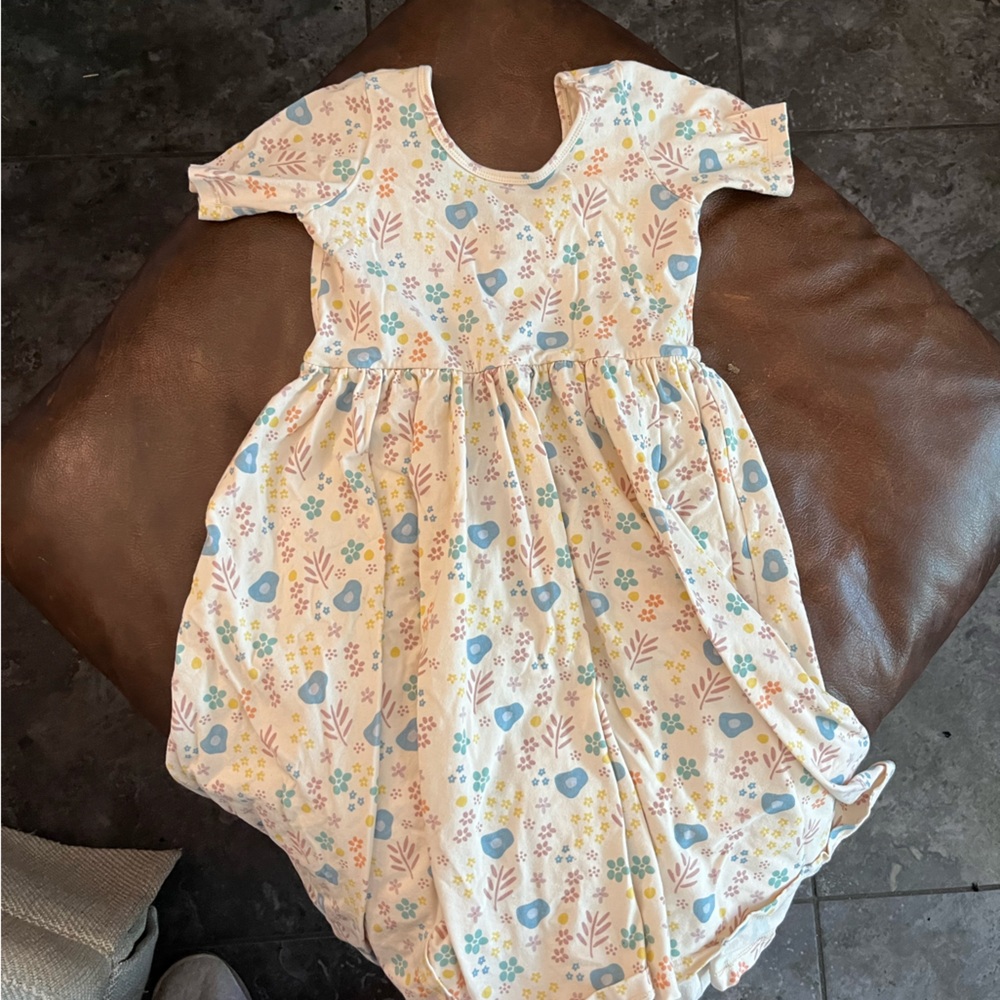 Alice and Ames Twirl Dress